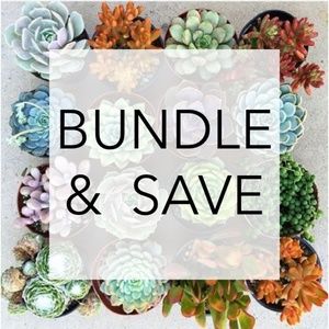 BUNDLE & SAVE
